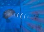ZAZU Krab Cody - projektor oceánu s melódiami